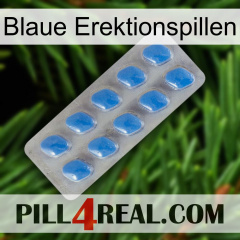 Blue Erection Pills 22